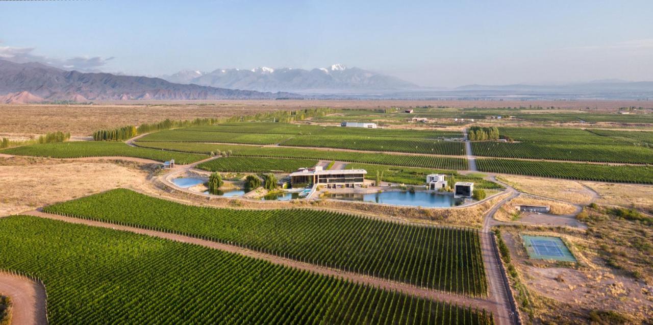 Casa De Uco Vineyards And Wine Resort Los Arboles Exterior photo