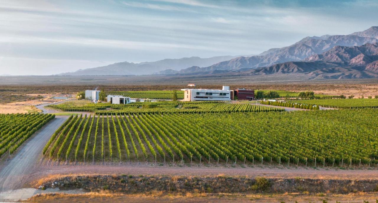 Casa De Uco Vineyards And Wine Resort Los Arboles Exterior photo